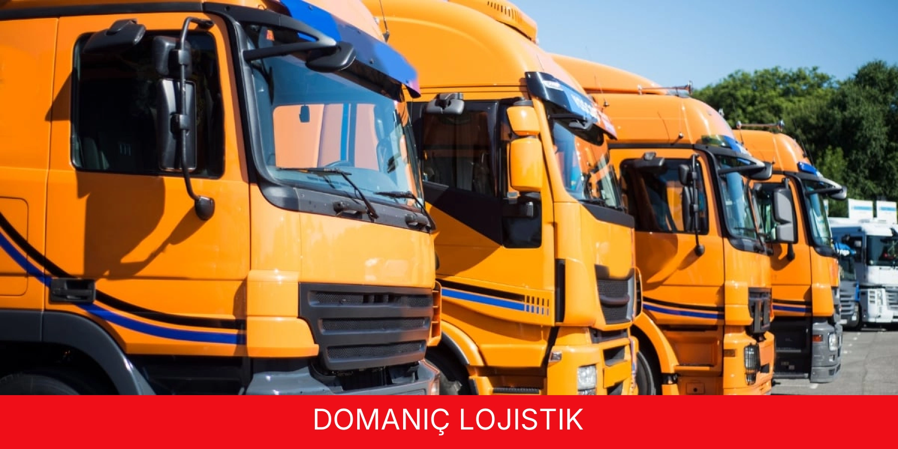 Domaniç Lojistik