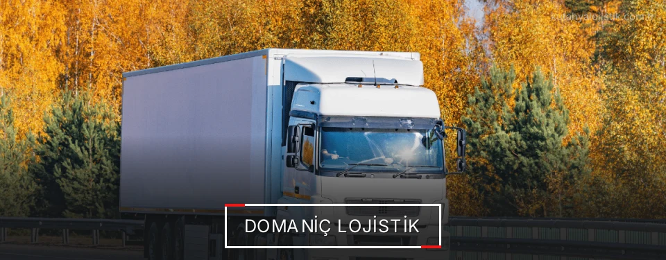 Domaniç Lojistik Domaniç Lojistik